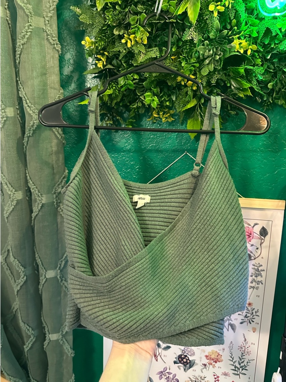 Olive Crop